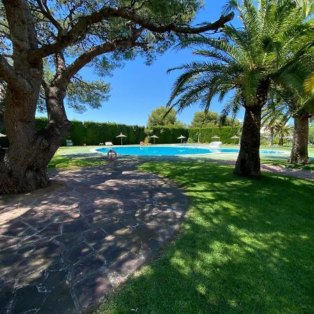 Apartamentos Tres Playas Altamar Alcossebre Exteriör bild